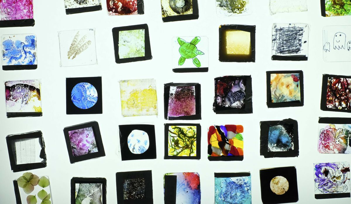 Diachips an der Ausstellung