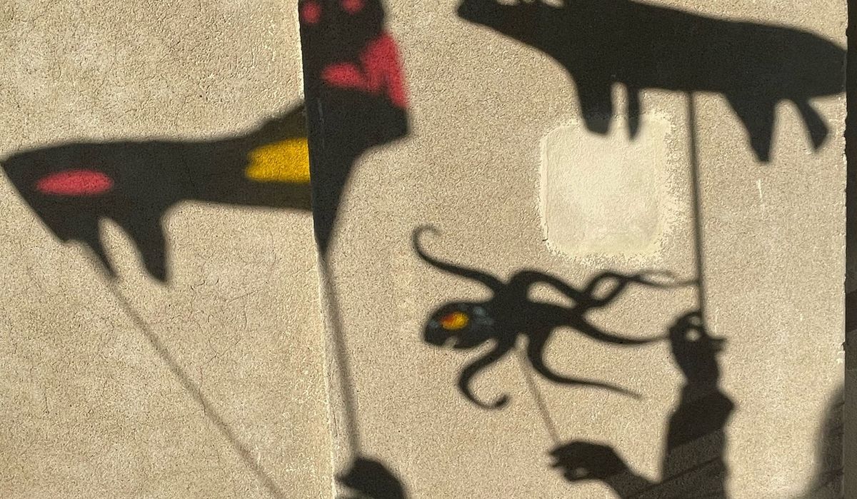 Schattentheater Intensivwoche